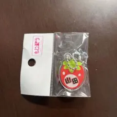 もじパラ いちご アクリルキーホルダー 山田のサムネイル