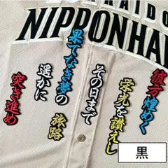 2026年最新】北海道日本ハムファイターズ ワッペンの人気アイテム