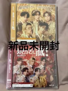 MILK 爆裂愛してる 好きすぎて滅 VOS盤 通常盤 新品未開封 CD