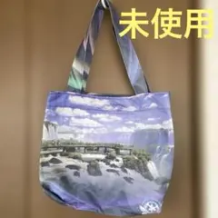 Item thumbnail for item 8c9b91f8-7ed3-4bee-95c0-3566bd49b5a3