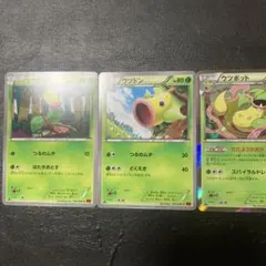 ポケモンカード マダツボミ ウツドン ウツボット 進化ライン XY3