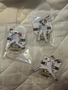 むー様 専用出品