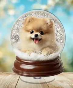 りんの母ちゃん様 リクエスト 3点 まとめ商品