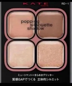 ケイト ポッピングシルエットシャドウ RD-1