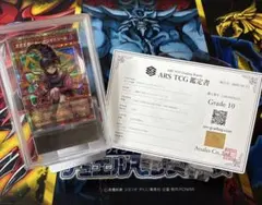 遊戯王 魔術師の弟子ブラックマジシャンガール 25th ars10 鑑定書付き