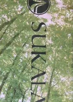 専用⭐︎きらり⭐︎様●スカーラ　lava ヨガマット、used