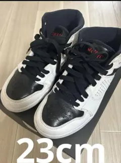 NIKEジャンプマンJORDAN ACCESS 23cm