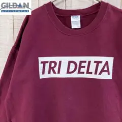 ギルダン　古着　長袖　スウェット 裏起毛　プリント　アメカジ ゆるだぼ