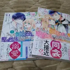 姉に婚約者を寝取られたので訳あり令息と結婚して辺境へと向かいます ～苦労の先に…