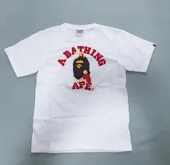 美品　APE BAPE KAWS マリリンモンロー　カレッジロゴTシャツXL 白 美品 APE BAPE KAWS マリリンモンロー カレッジロゴTシャツXL 白