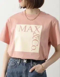 MAX MARA / マックスマーラ TAVERNA コットンアップリケTシャツ - メルカリ