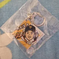 ぴょん様 リクエスト 2点 まとめ商品