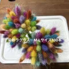 ドライフラワーラグラスミックスカラーM85本 - メルカリ