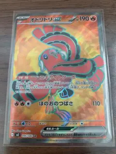 2026年最新】オドリドリex SRの人気アイテム - メルカリ