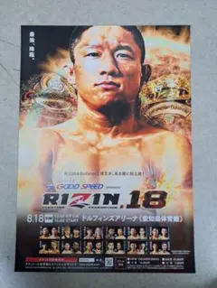 フェザー級集合 RIZIN ライコレ リアルカード 朝倉未来 平本蓮 秋元強