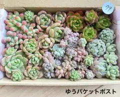 はな様 リクエスト 3点 まとめ商品