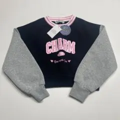 Item thumbnail for item 6a43c225-3d81-4d8e-adba-3c5c3603340e