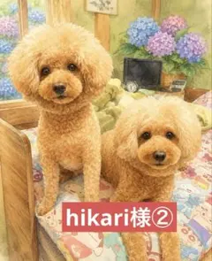 hikari様専用ページ②