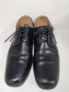 Item thumbnail for item 9cfe0cc2-e9da-49fb-974c-7a6c52943953