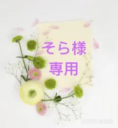 そら様 リクエスト 5点 まとめ商品