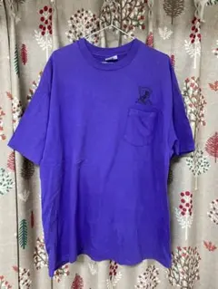 90s USA製 Hanes BEFFY ポケT XL