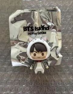 BTS_FESTA2025 インザソム ジョングクin the seom