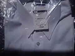 Item thumbnail for item 37b28cdd-94b4-4e66-aeb5-5f0cd3428138