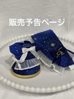 【こちらは販売予告ページとなります】