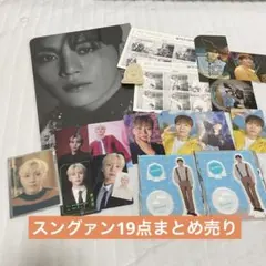 スングァン SEVENTEEN 19点セット　セブチ　まとめ売り