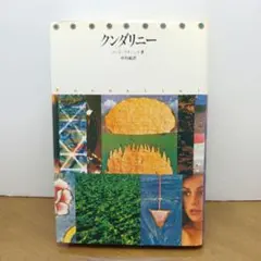 希少品・外箱付き】クレモニーニ画集 1951-1993 日本語版 - メルカリ