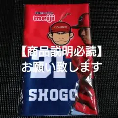 広島東洋カープ　坂倉将吾　タオル　スライドミラーキーホルダー　セット