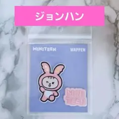 【ジョンハン】SEVENTEEN MINITEEN ワッペン トラム