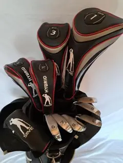 セベ・バレステロス メンズゴルフ クラブ フルセット 初心者　フレックスS