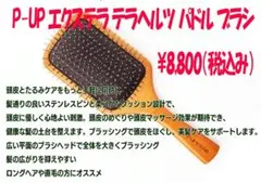リニューアルモデル』P-UP テラヘルツ イージーリフトローラー - メルカリ