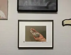 Item thumbnail for item 275d28c1-9d64-4b75-b538-0749cf09f0b2