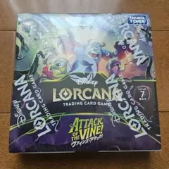 2026年最新】ロルカナ box 未開封の人気アイテム - メルカリ