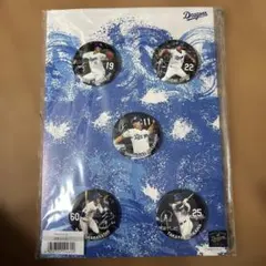 中日ドラゴンズ 選手缶バッジ 5種セット