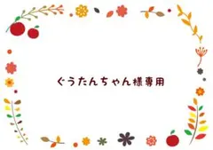 ぐうたんちゃん様 リクエスト 3点 まとめ商品