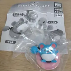 ポケモン ぎらぎらサンシャイン4 マリル