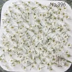 No,396 アリッサム140輪＋α ドライフラワー花材