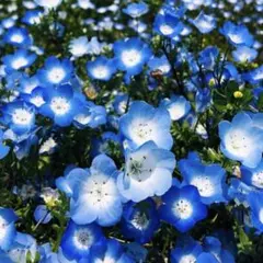 Yk10様 リクエスト 2点 まとめ商品