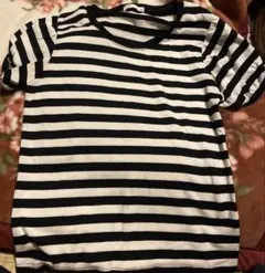 ボーダー　半袖Tシャツ