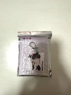 ヒュニンカイ アクリルキーホルダー