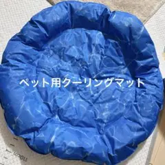 Item thumbnail for item 91d72c28-6f60-4069-b98e-dcaaab2c89e8