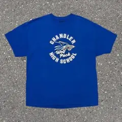 パナソニックパンサーズ V.LEAGUE FINAL Tシャツ - メルカリ