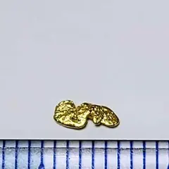 砂金 大粒 0.1g天然物 【アラスカ産】#23鑑定済 - メルカリ