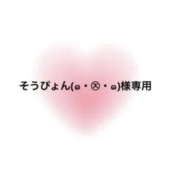そうぴょん(๑・㉨・๑)様専用