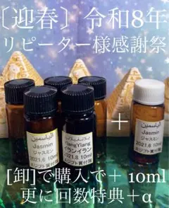 ♬丙午年リピーター様【卸】感謝祭♬・:*+.-:+☆