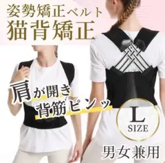 Item thumbnail for item 272f3998-d23b-4c9e-ab01-2d60171fde3e