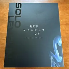 俺だけレベルアップな件ピッコマくじA,B,E賞
